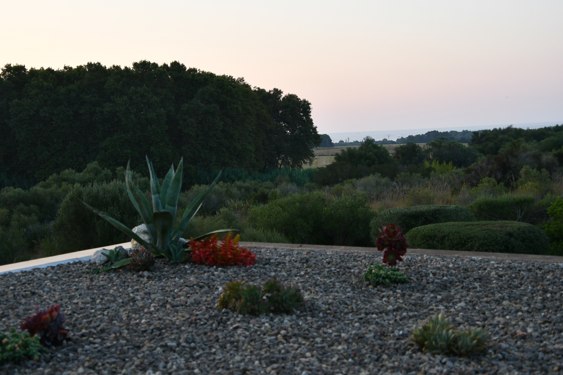 Morgenlicht über Kiesgarten & Meer