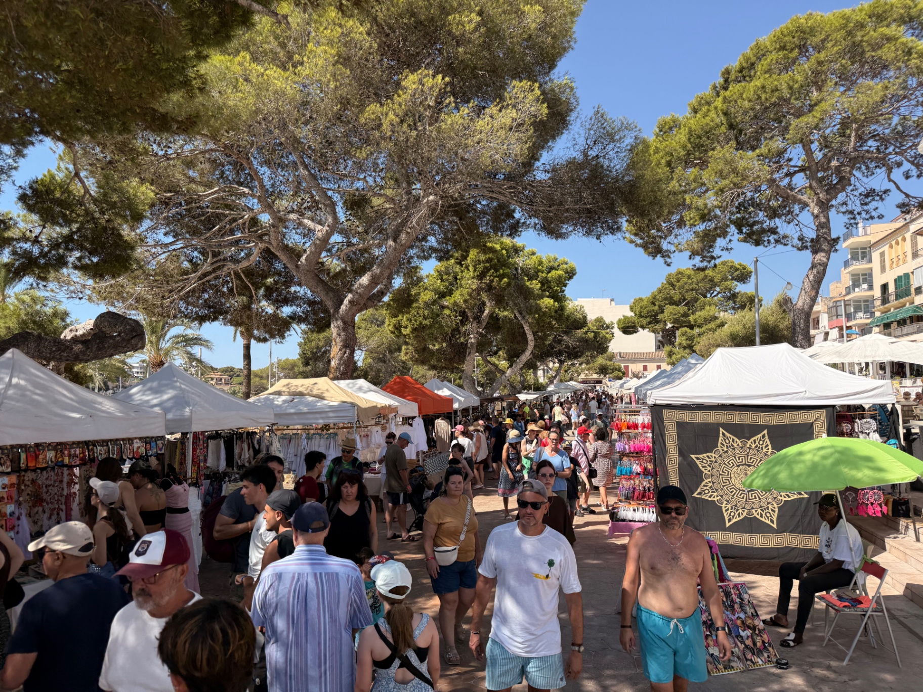 Marktstände unter Pinien am Sonntagsmarkt in Porto Cristo